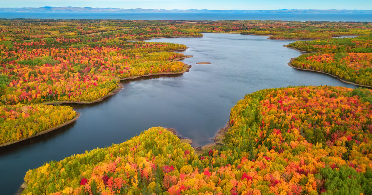 Aerial view of a lake surrounded by dense forest with vibrant autumn foliage in shades of red, orange, yellow, and green.